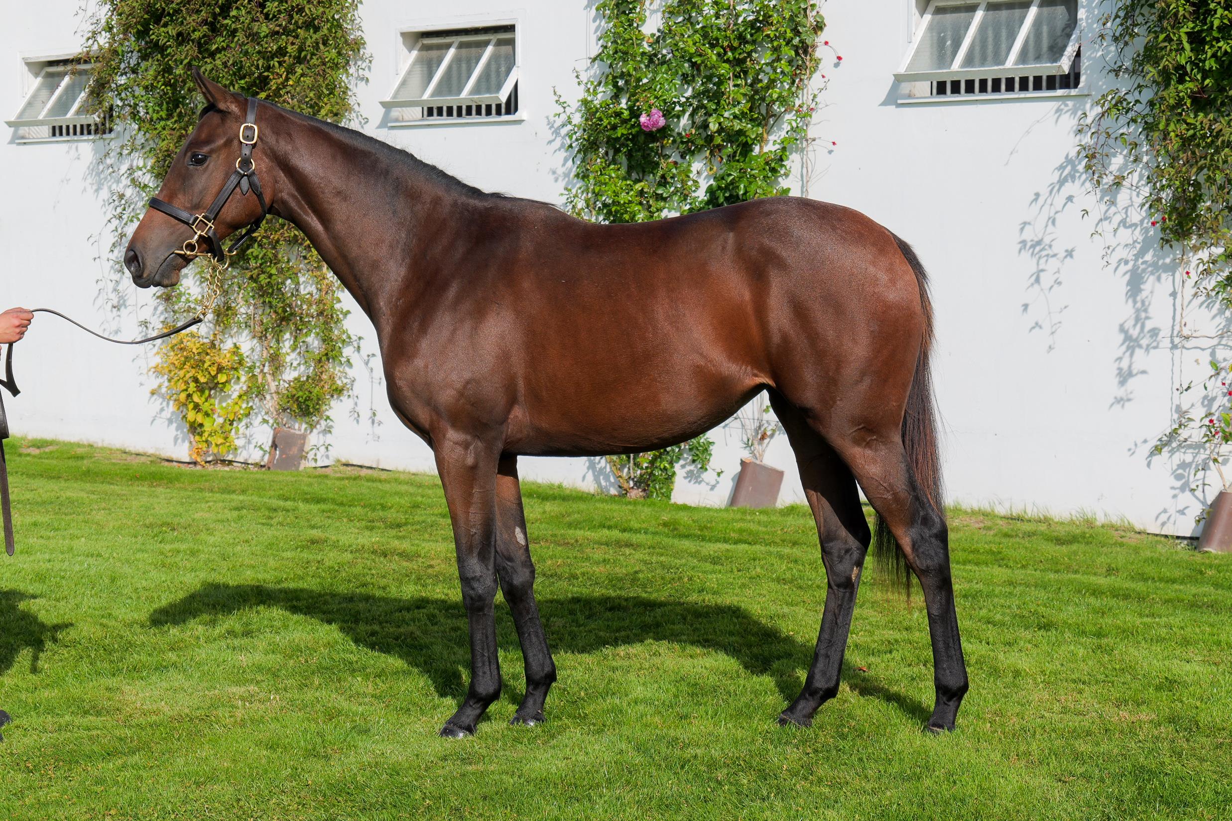 2024 With Your Spirit