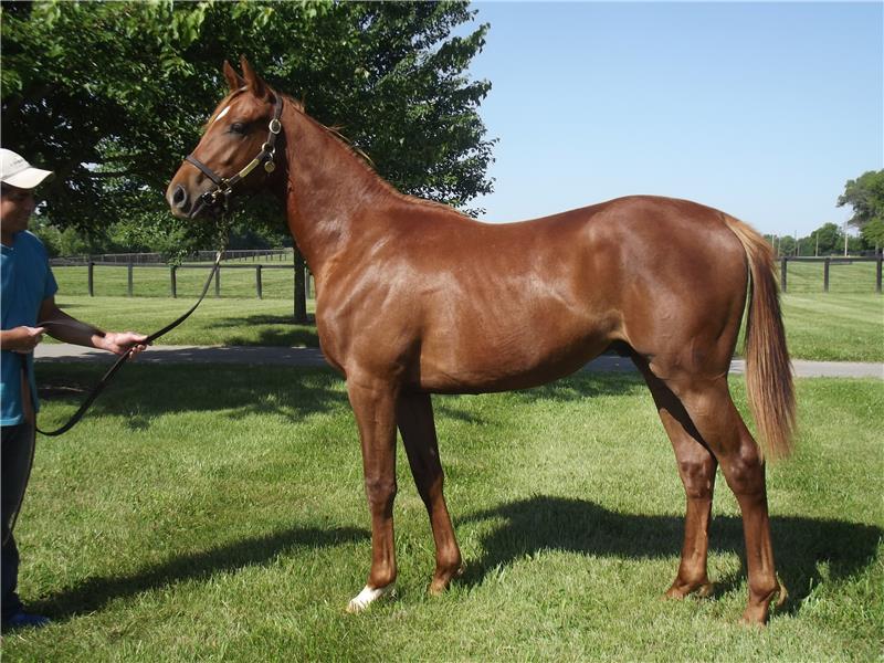 Barnstar