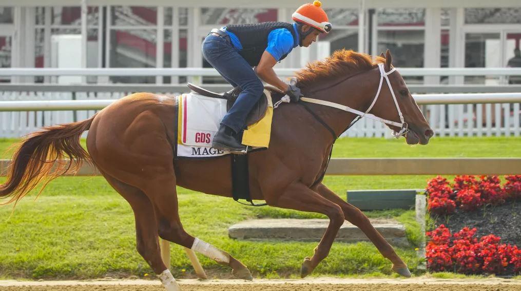 Mage Falls Short in the Preakness Farm News, Featured Article, Racing