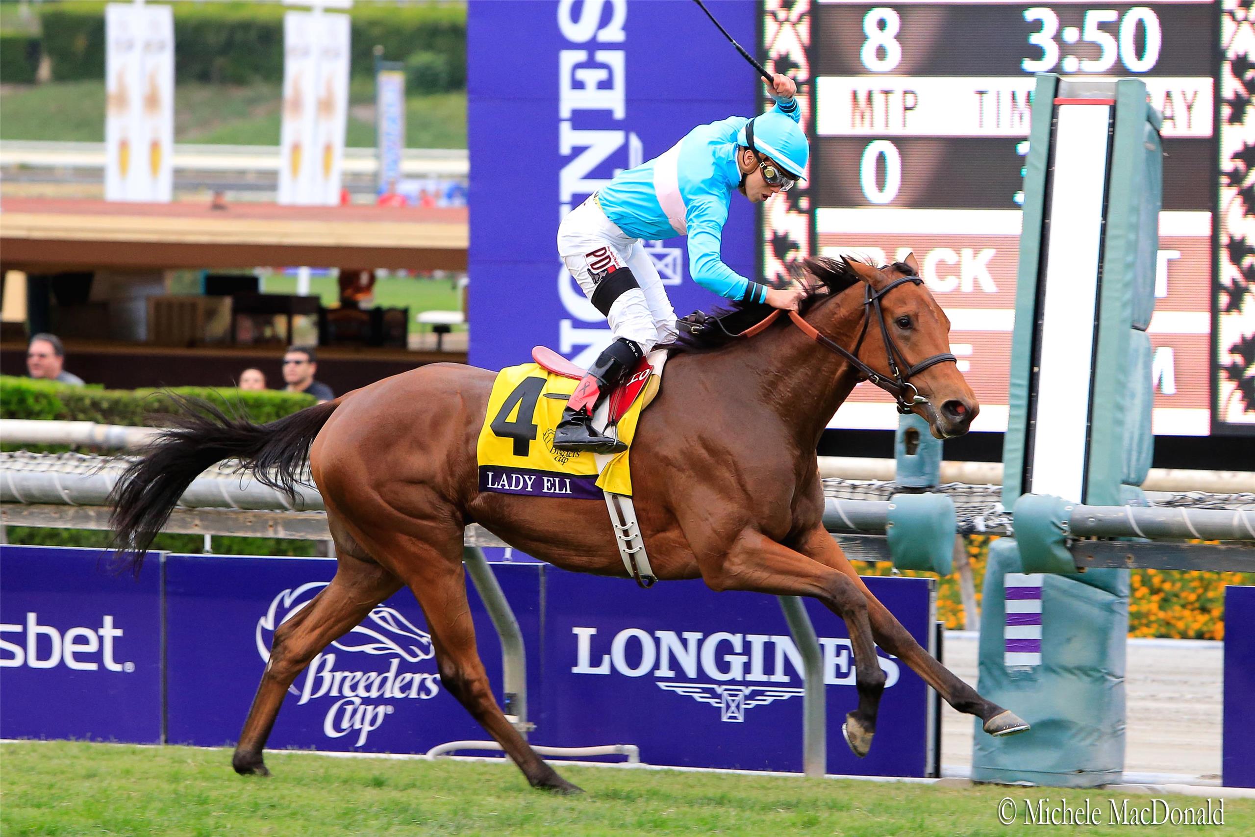 Lady Eli