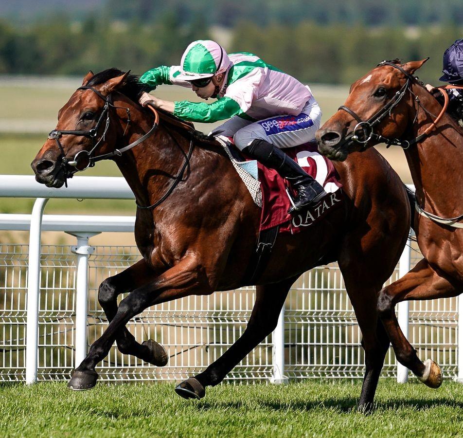 Duke Of Hazzard (FR)